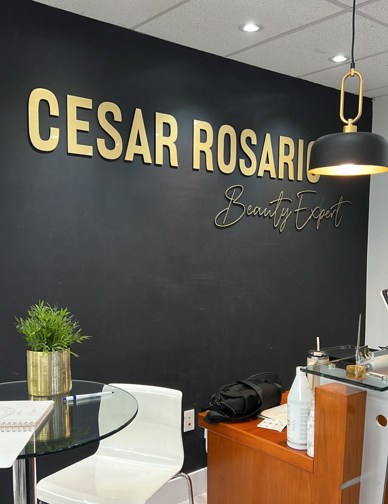 cesar rosario - Custom Laser Cut Wall Logo